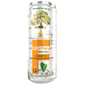 Yerba Focus Birch Rokitnik
