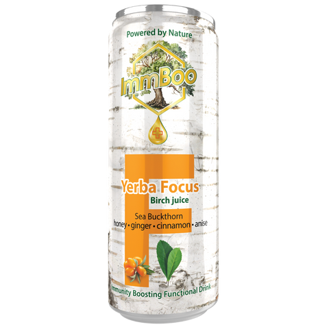 Yerba Focus Birch Rokitnik (12 sztuk)