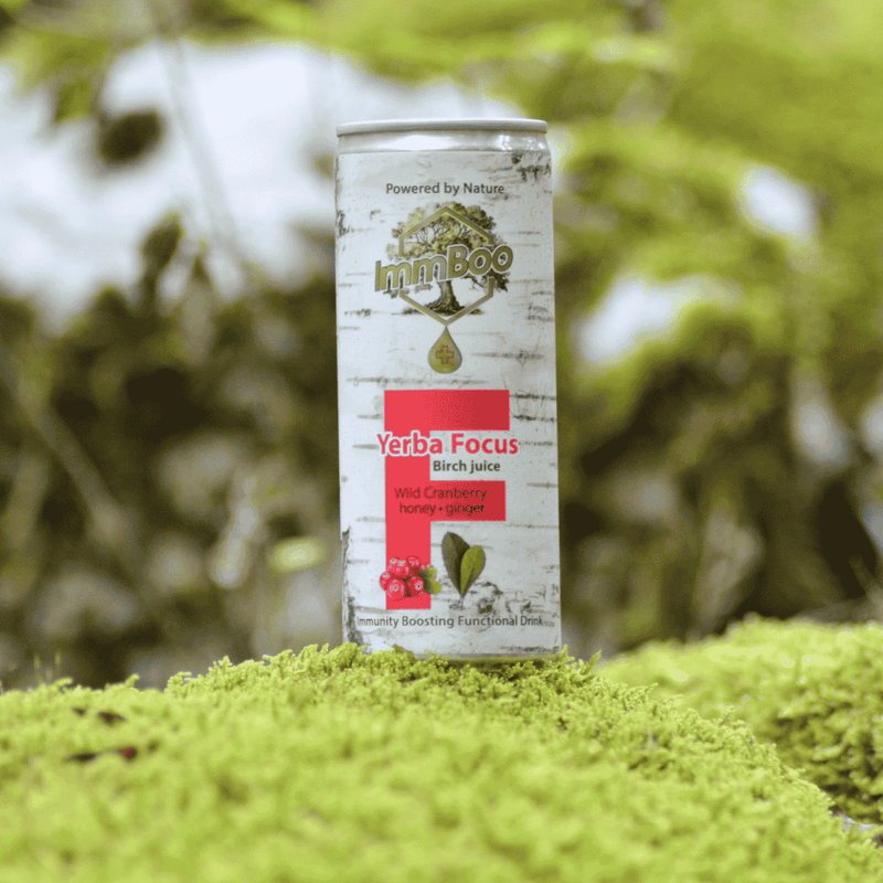 Yerba Focus Birch Żurawina (12 sztuk)