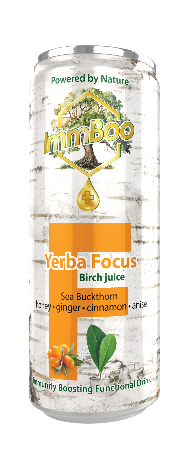 Yerba Focus Birch Rokitnik (12 sztuk)