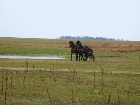 ImmBoo – naturalne napoje funkcjonalne, które łączą tradycję z nowoczesnością