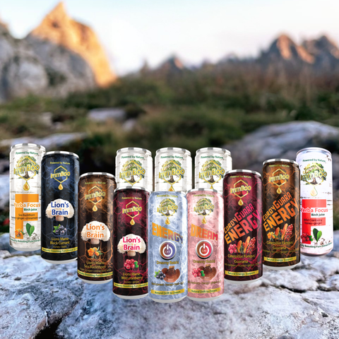 Zestaw testowy ImmBoo – idealny początek twojej przygody z napojami funkcjonalnymi