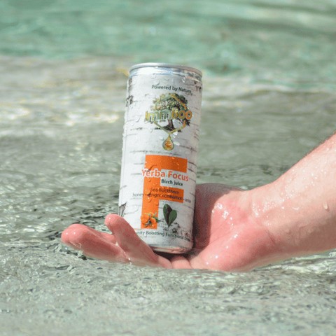 Yerba Focus – Napoje z Yerba Mate can held in hand over water.