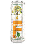 Yerba Focus Birch Rokitnik (12 sztuk)