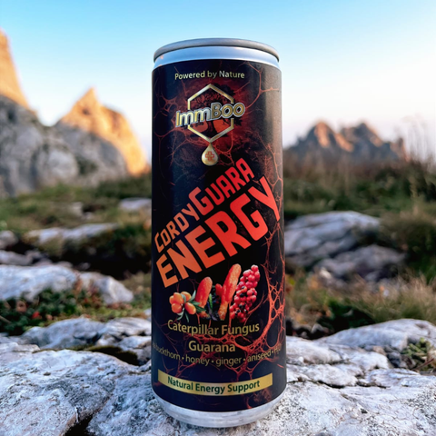 CordyGuara Energy Rokitnik (12 sztuk)