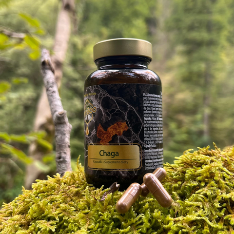 ImmBoo Chaga (60 kapsułek)