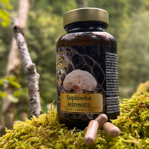 ImmBoo Lion’s Mane 60 kapsułek