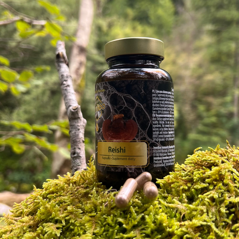ImmBoo Reishi (60 kapsułek)