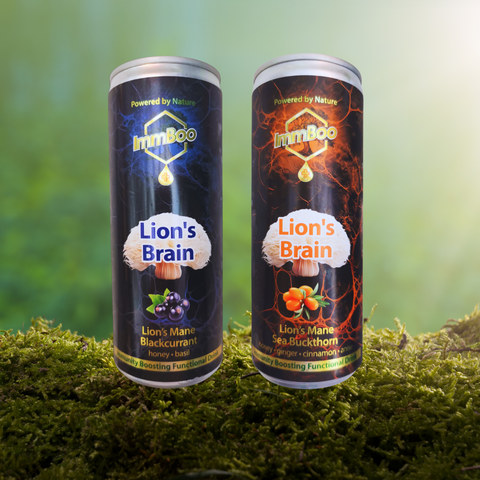 Lion's Brain Rokitnik (12 sztuk)