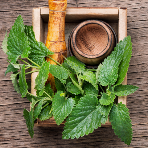 FruiTea Calm Melissa Malina (12 sztuk)