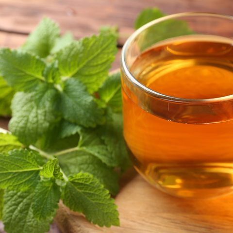 FruiTea Calm Melissa Czarna Porzeczka (12 sztuk)