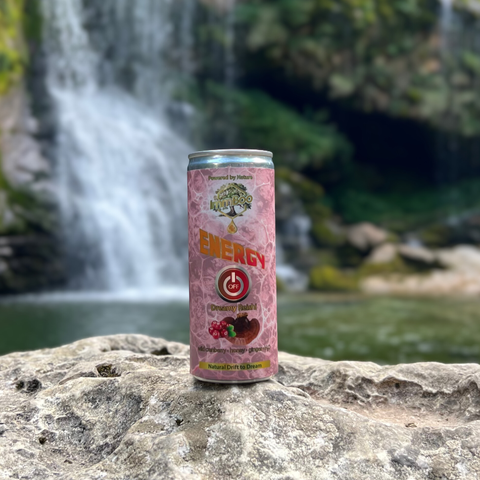 OFF Dreamy Reishi Żurawina (12 sztuk)