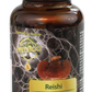 ImmBoo Reishi (60 kapsułek)