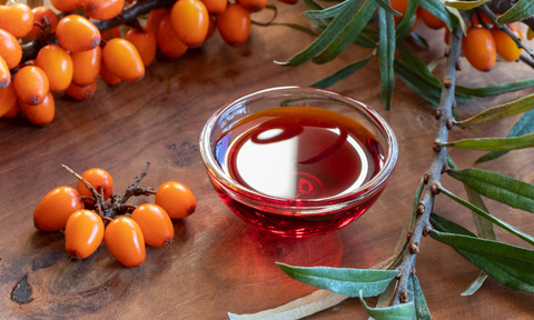 FruiTea Yerba Focus Rokitnik (12 sztuk)