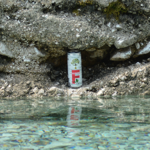 Yerba Focus Birch Żurawina (12 sztuk)