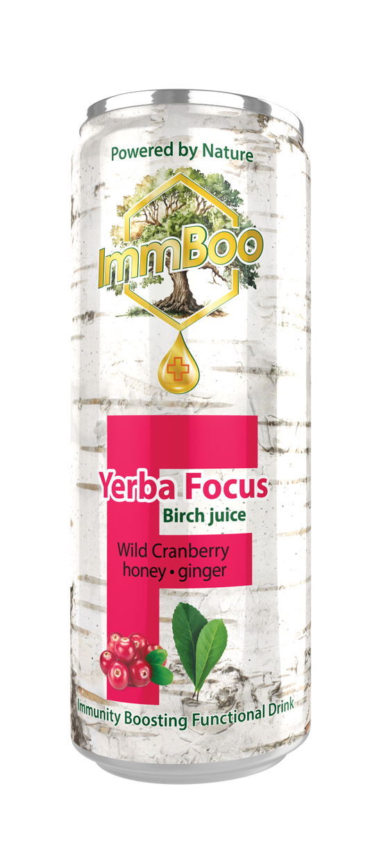 Yerba Focus Birch Żurawina (12 sztuk)