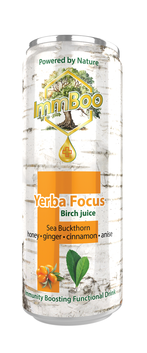 Yerba Focus Birch Rokitnik (12 sztuk)