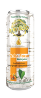 Yerba Focus Birch Rokitnik (12 sztuk)