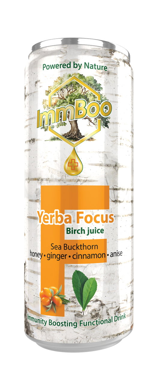 Yerba Focus Birch Rokitnik (12 sztuk)